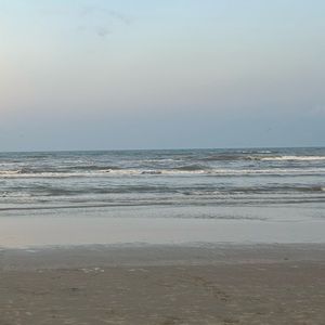 Meet your Posher, Nadalynn